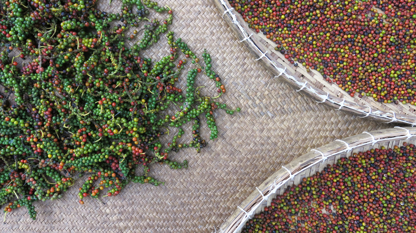 First Batch from Phu Quoc