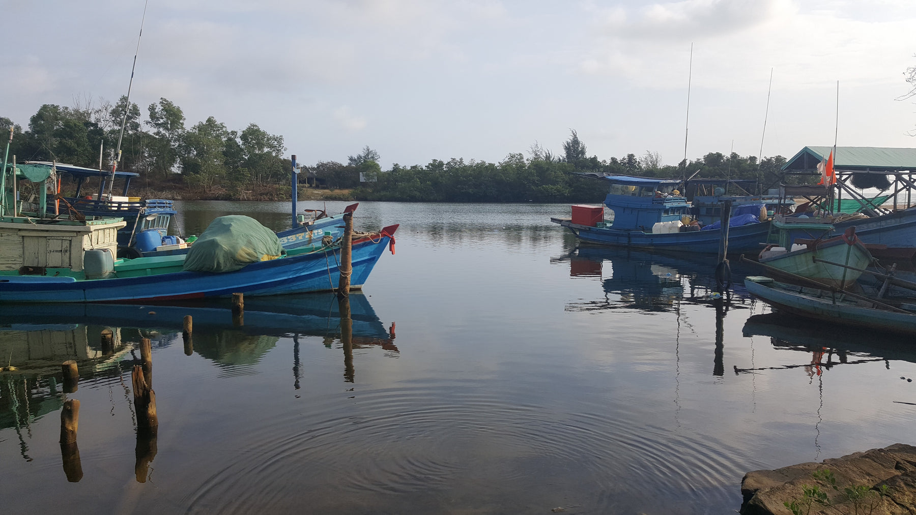 Phu Quoc Late Harvest Pepper