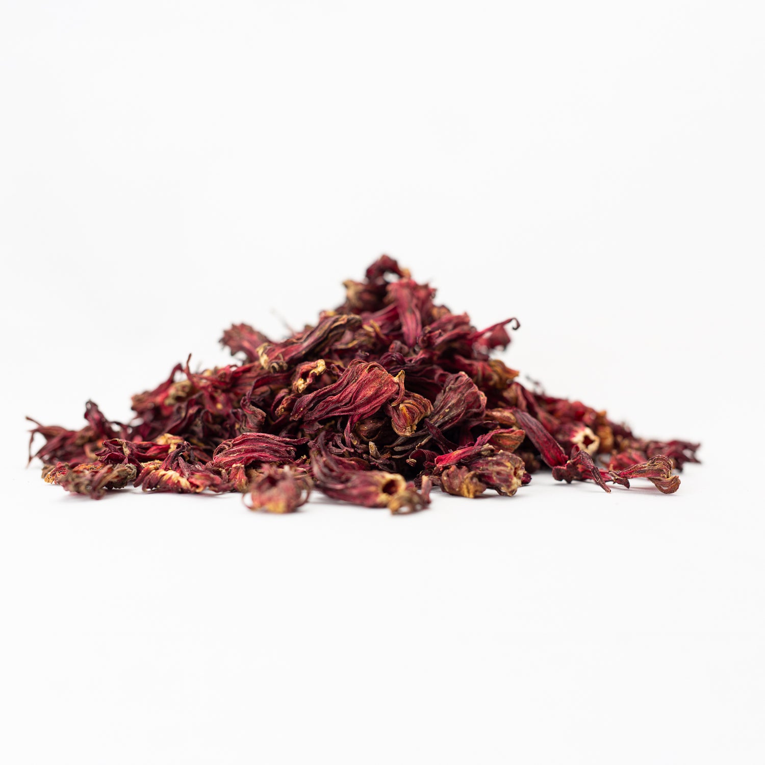 Naga Hills Hibiscus Flower