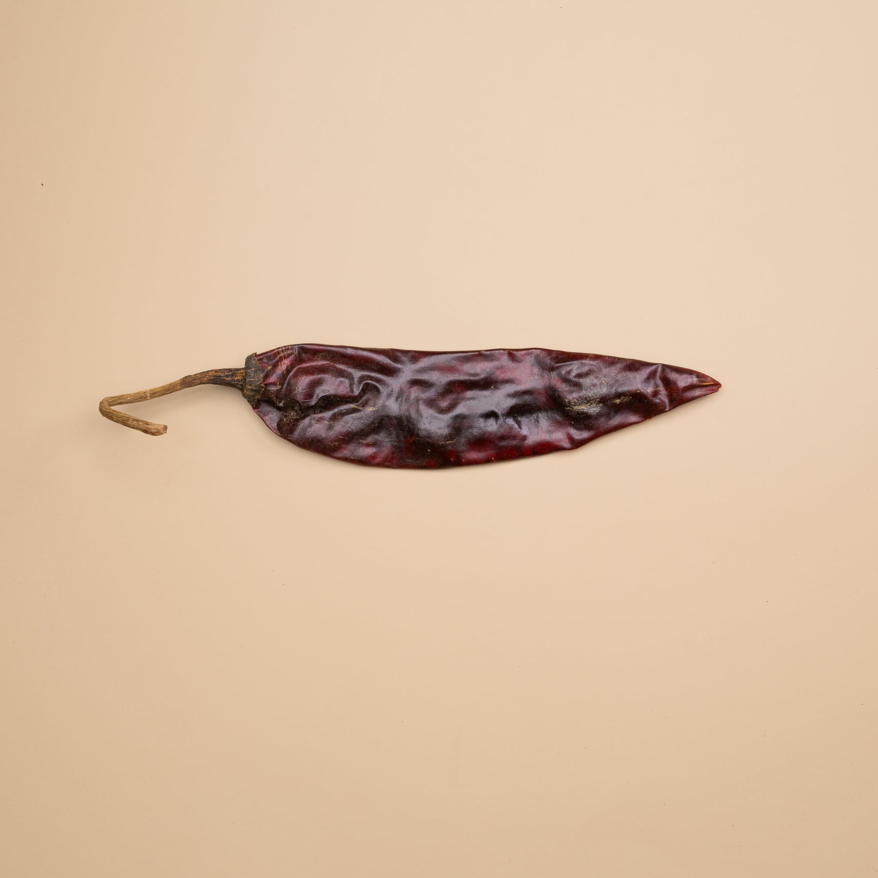 Guajillo