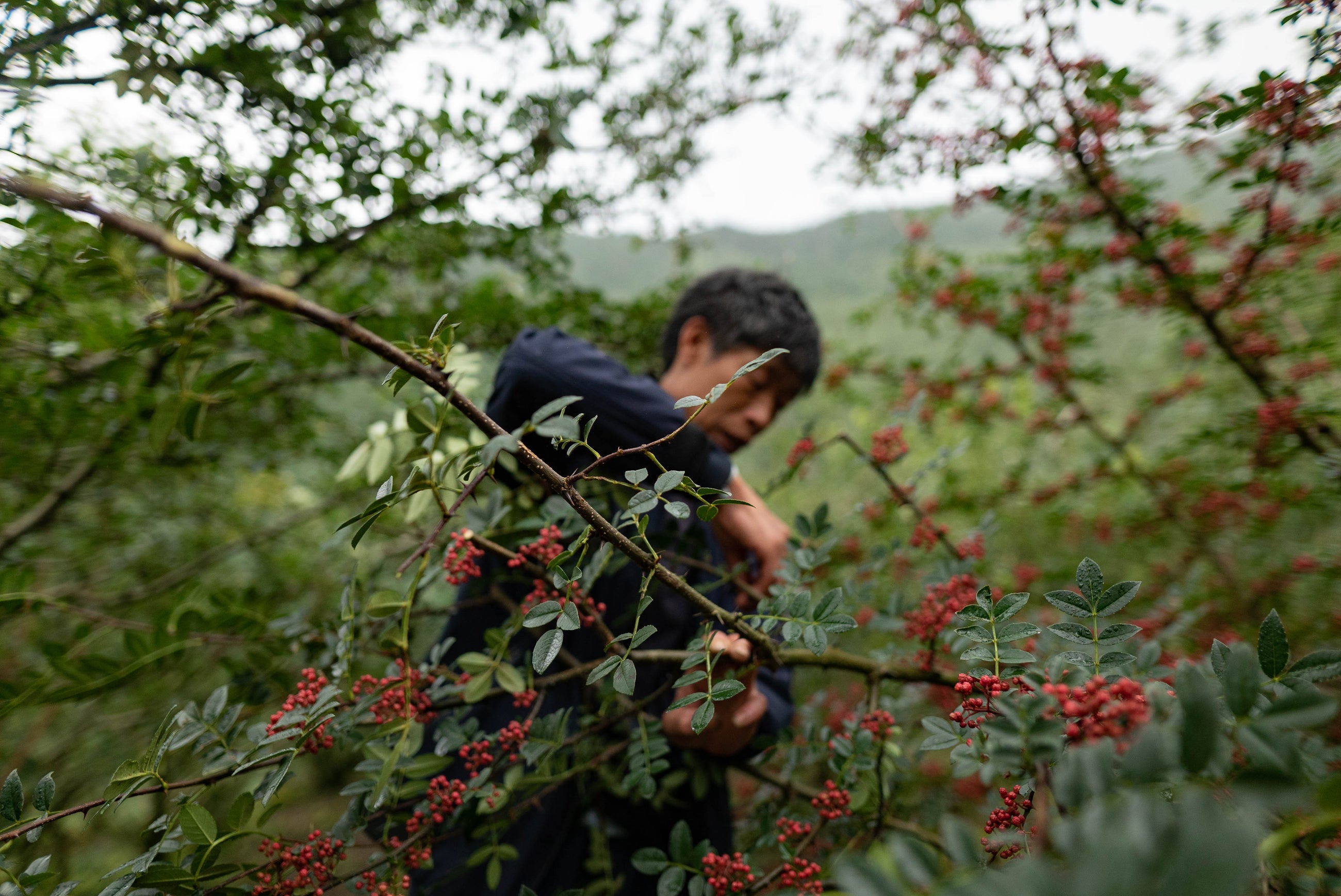 Explore Our Tasting Experiences