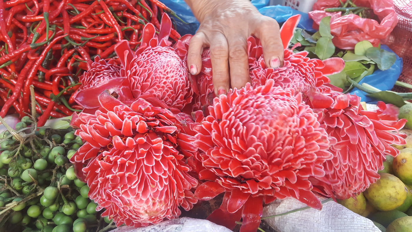 INDONESIA
