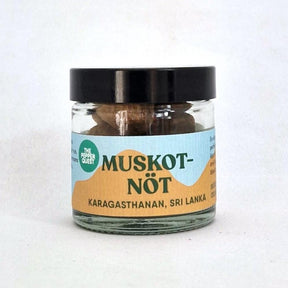 Muskotnöt