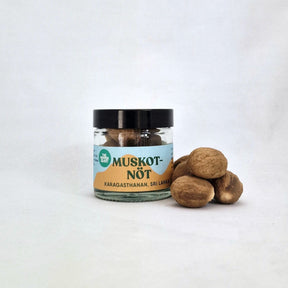 Muskotnöt