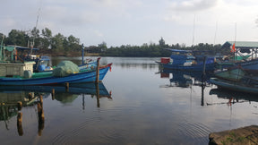 Phu Quoc Senskördspeppar 