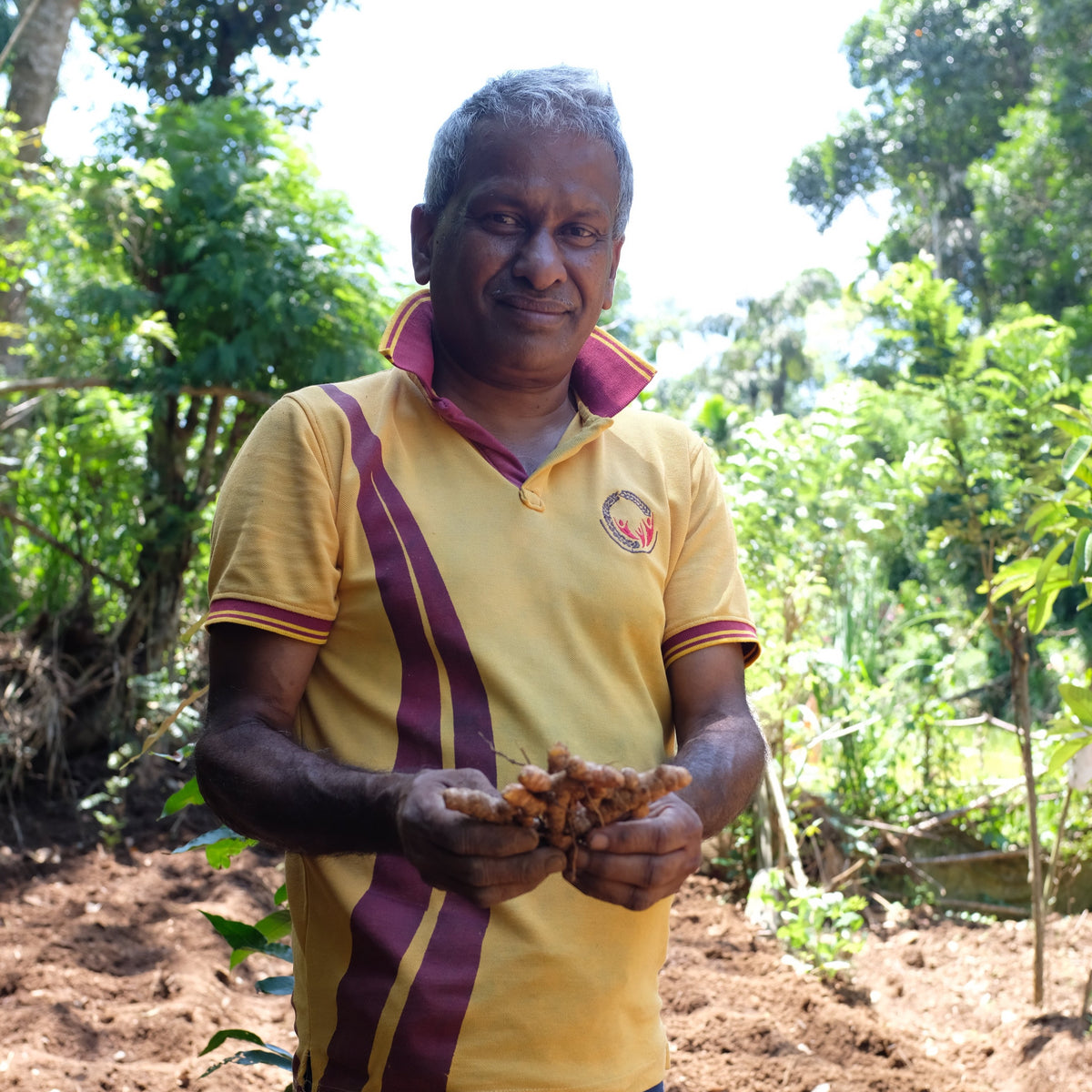 Kandy Turmeric