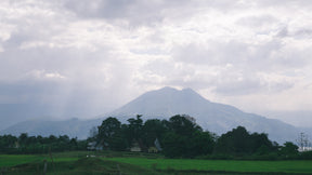 Lake Toba The Pepper Quest