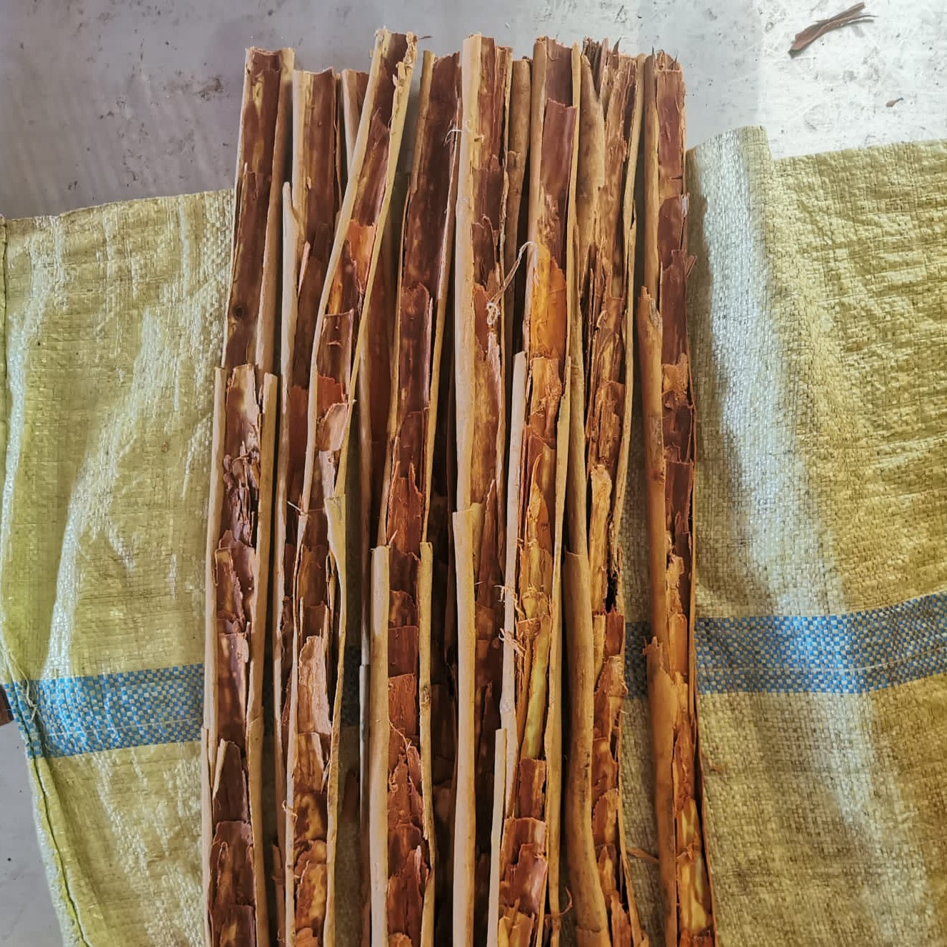 Sri Lankan Cinnamon - Whole