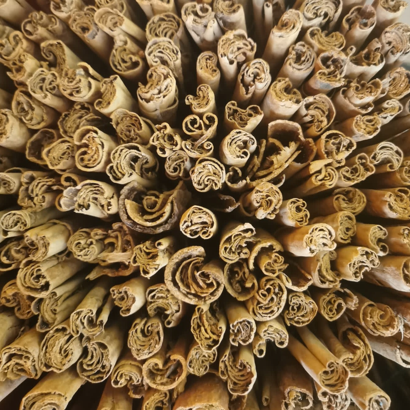 Sri Lankan Cinnamon - Whole