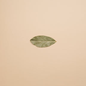Bay Leaf